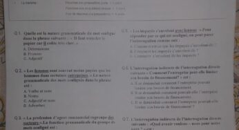 langue et terminologie s1 QCM