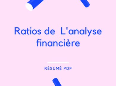 Ratios de L'analyse de la situation de l'Entreprise (1)