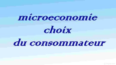 microeconomie s1 : consommateur
