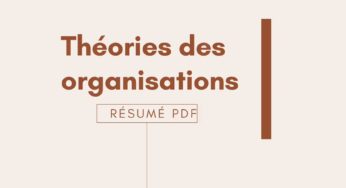 Cours Théorie des organisations résumé PDF