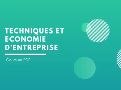 Techniques et économie d'entreprise