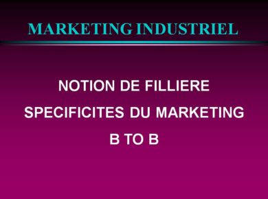 marketing b2b Notion de filière
