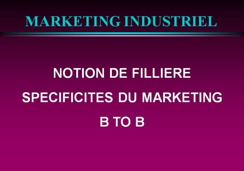 marketing b2b Notion de filière