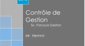 Contrôle de Gestion Cours S6 [PDF] : Guide complet