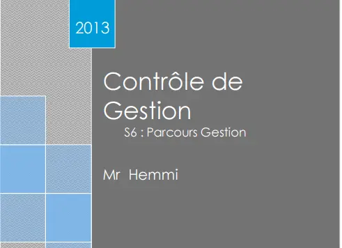 contrôle de gestion s6 cours pdf