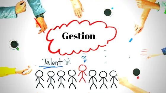 cours de gestion licence l1 pdf