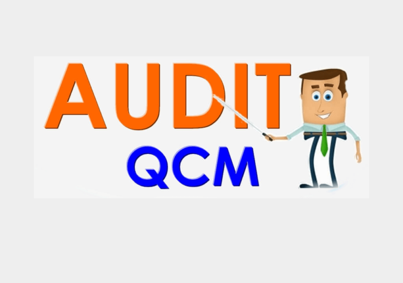 QCM en audit général