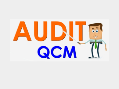 QCM en audit général