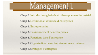 Cours de Management S1 PDF [diapo]