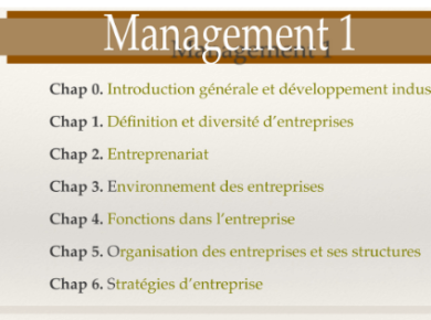 Cours de Management S1 PDF [diapo]