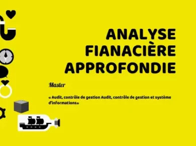 cours analyse financière approfondie pdf