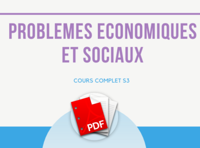 cours de problèmes économiques et sociaux S3 PDF
