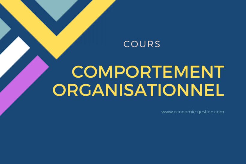 comportement organisationnel cours pdf