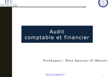 audit comptable et financier pdf