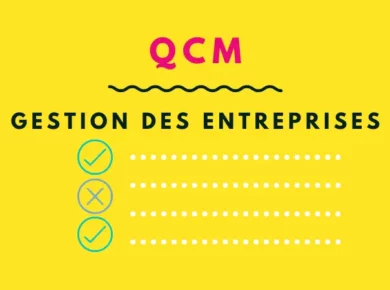 QCM de gestion des entreprises L2 PDF