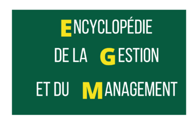 Encyclopédie de la Gestion et du Management PDF