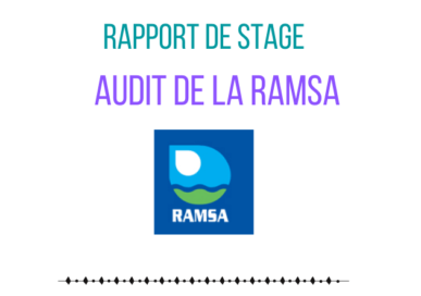 modèle de rapport audit de la RAMSA