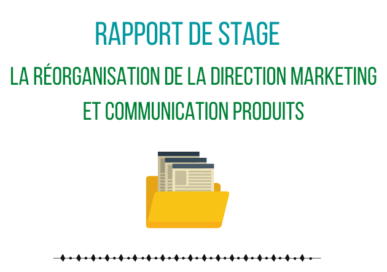 Exemple 3 de rapport de stage La Réorganisation de la Direction Marketing et Communication Produits