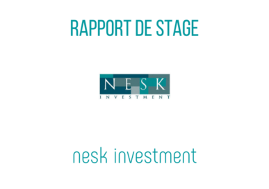 modèle de rapport de stage NESK INVESTMENT