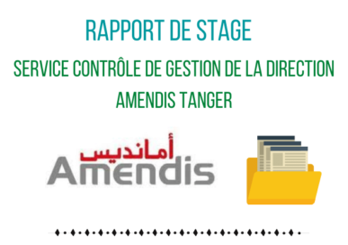 Exemple de rapport de stage service Contrôle de Gestion de la Direction Amendis Tanger